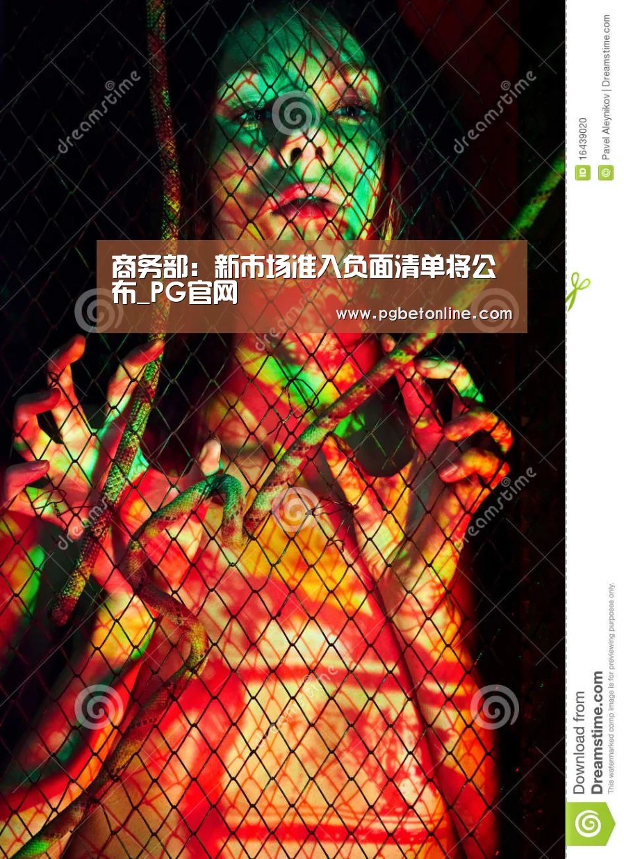 商务部:新市场准入负面清单将公布_PG官网(图1) PG服务