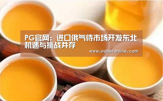 PG官网:进口俄气待市场开发东北机遇与挑战并存(图1) PG频道