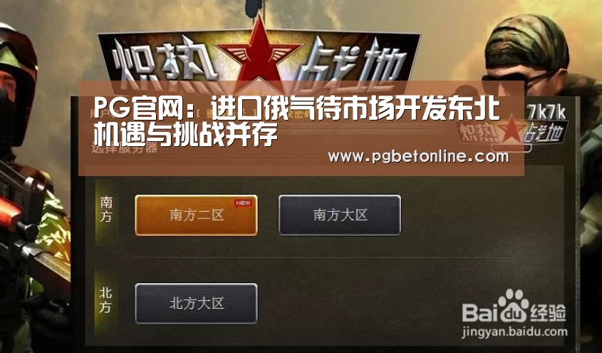 PG官网:进口俄气待市场开发东北机遇与挑战并存(图2) PG服务