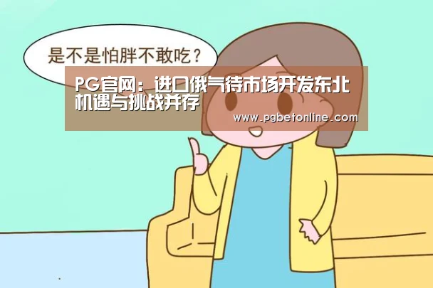 PG官网:进口俄气待市场开发东北机遇与挑战并存(图4) PG频道