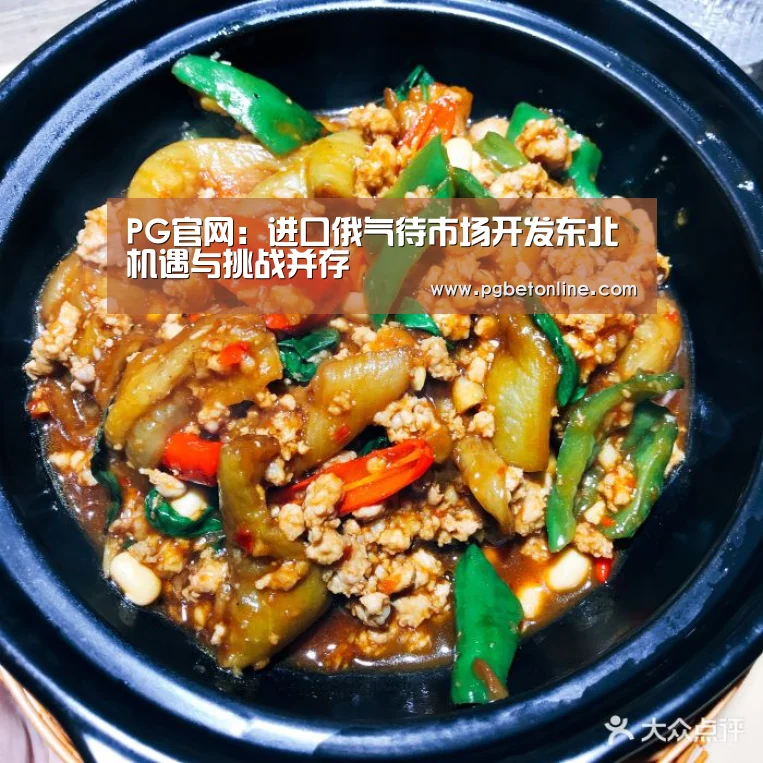 PG官网:进口俄气待市场开发东北机遇与挑战并存(图3) PG服务
