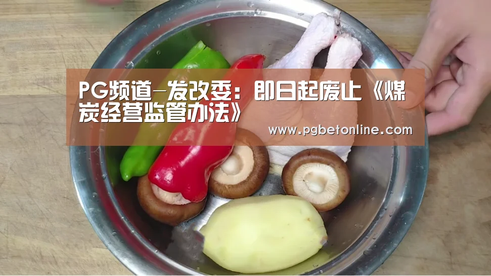 PG频道-发改委:即日起废止《煤炭经营监管办法》(图3) PG服务
