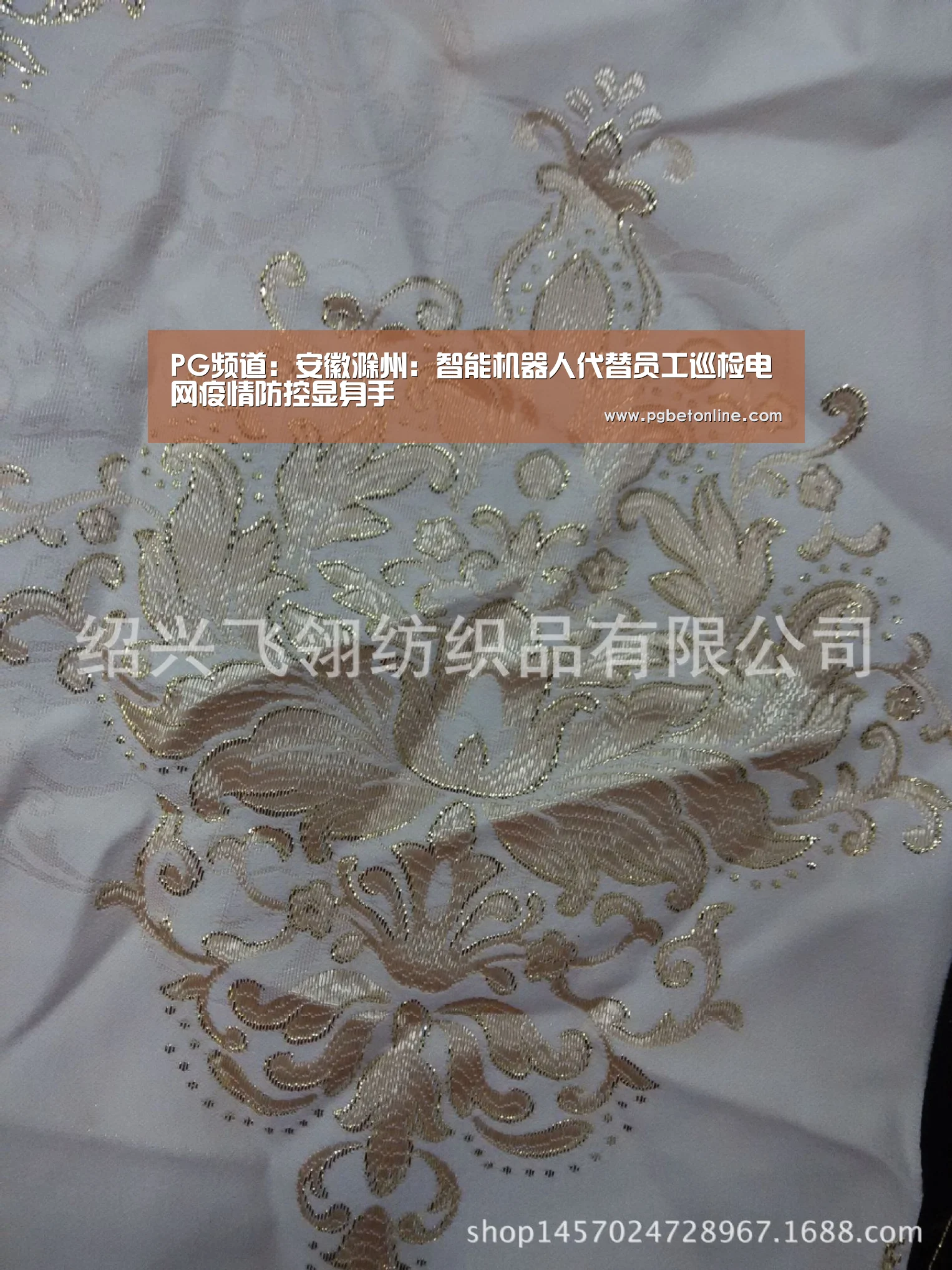 PG频道:安徽滁州:智能机器人代替员工巡检电网疫情防控显身手(图2) PG频道