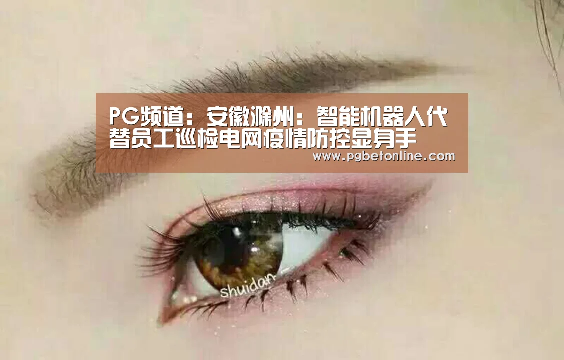 PG频道:安徽滁州:智能机器人代替员工巡检电网疫情防控显身手(图4) PG体育