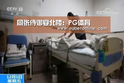 同张侍御宴北楼:PG体育(图1) PG官网