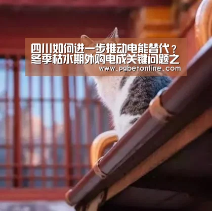 PG服务