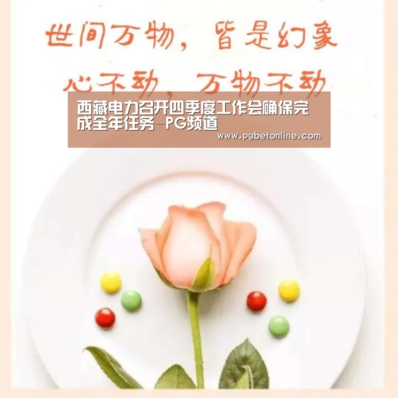 西藏电力召开四季度工作会确保完成全年任务-PG频道(图1) PG频道