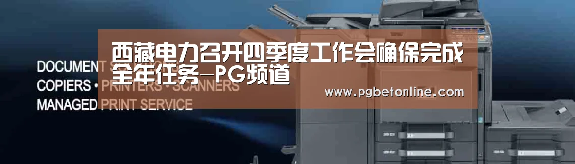 西藏电力召开四季度工作会确保完成全年任务-PG频道(图2) PG频道