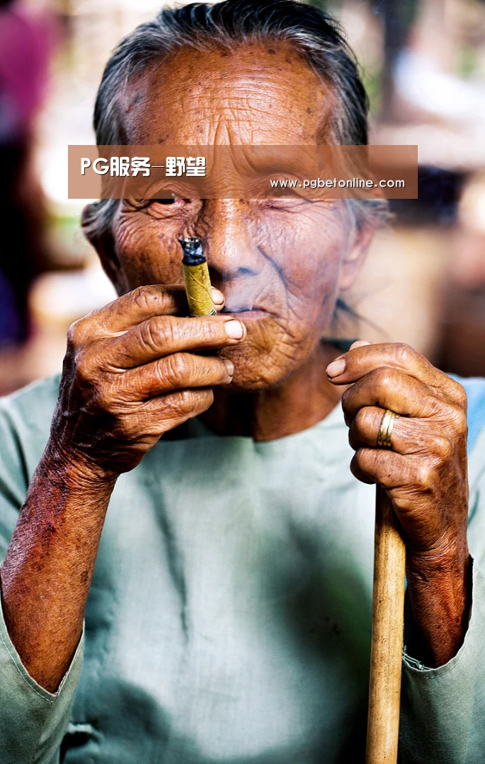 PG服务-野望(图3) PG官网