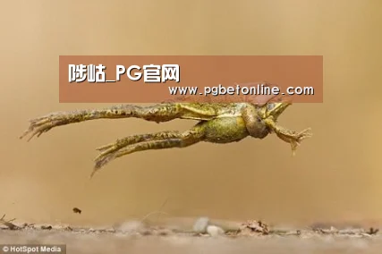 陟岵_PG官网(图1) PG官网