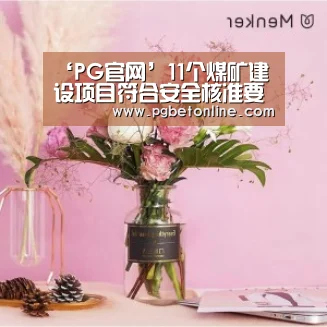 ‘PG官网’11个煤矿建设项目符合安全核准要求(图1) PG体育