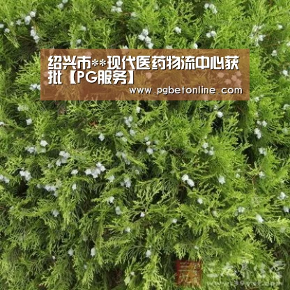 PG体育