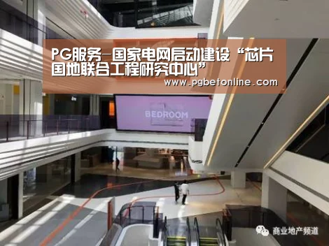 PG服务-国家电网启动建设“芯片国地联合工程研究中心”(图3) PG官网