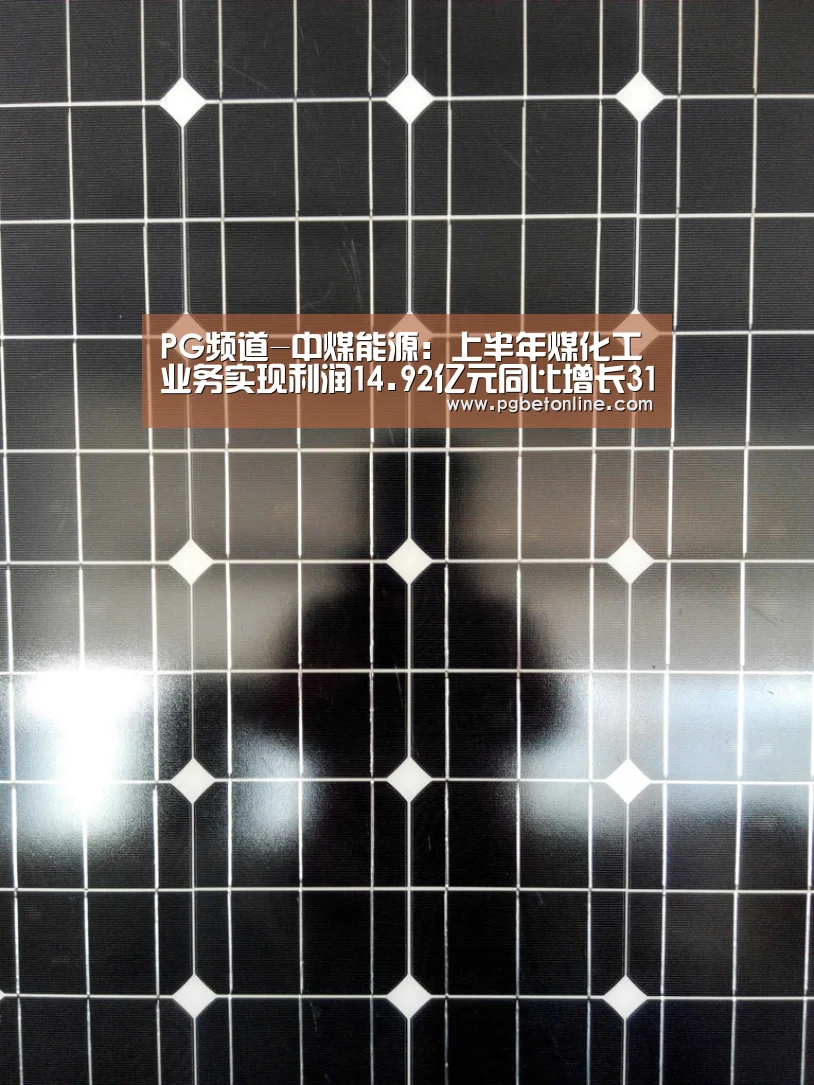 PG频道-中煤能源:上半年煤化工业务实现利润14.92亿元同比增长31.8%(图2) PG服务
