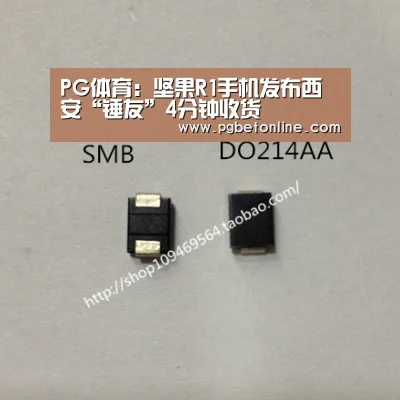 PG体育:坚果R1手机发布西安“锤友”4分钟收货(图1) PG服务