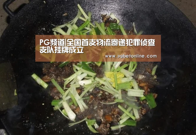 PG频道|全国首支物流寄递犯罪侦查支队挂牌成立(图3) PG官网