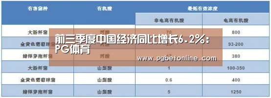 前三季度中国经济同比增长6.2%:PG体育(图1) PG官网