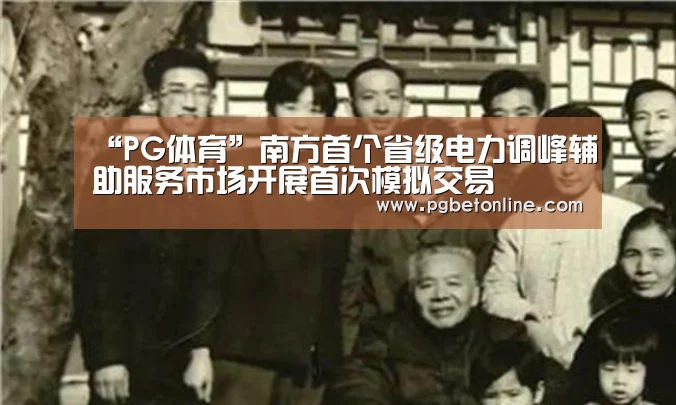 “PG体育”南方首个省级电力调峰辅助服务市场开展首次模拟交易(图3) PG体育