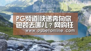 PG服务