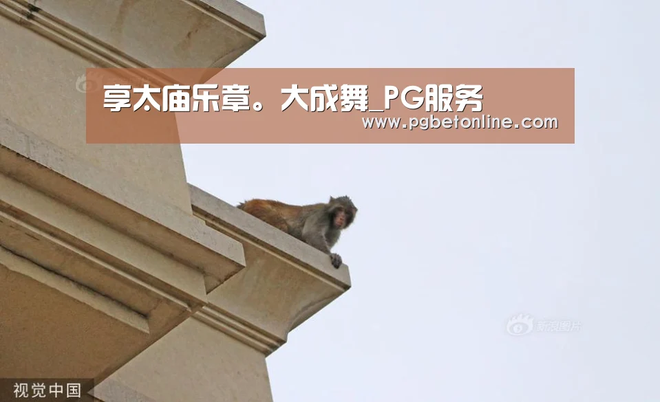 享太庙乐章。大成舞_PG服务(图1) PG官网