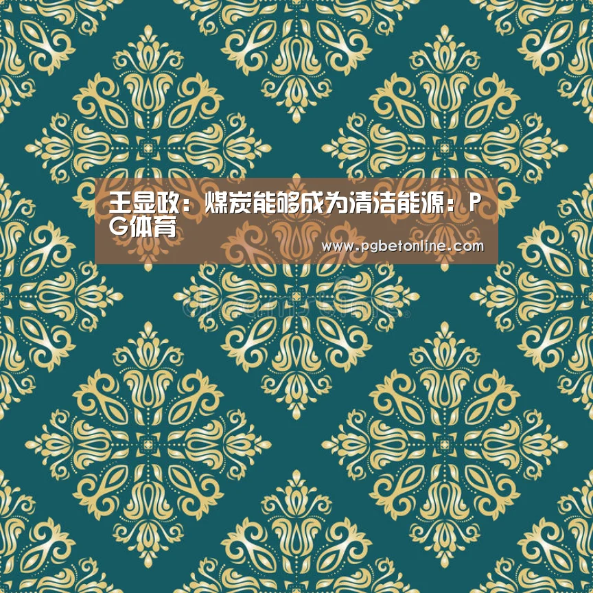 王显政:煤炭能够成为清洁能源:PG体育(图1) PG服务