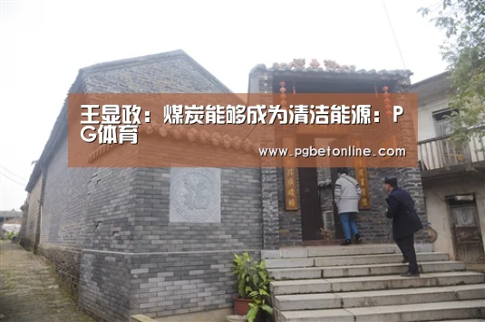 王显政:煤炭能够成为清洁能源:PG体育(图2) PG体育