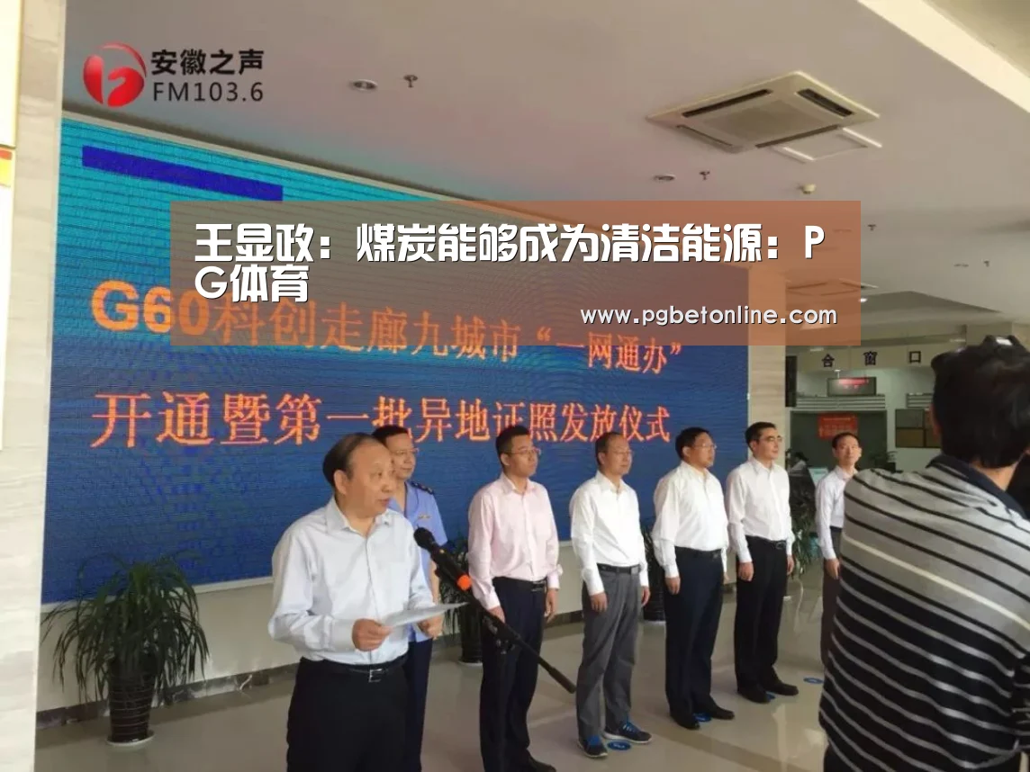 王显政:煤炭能够成为清洁能源:PG体育(图3) PG服务
